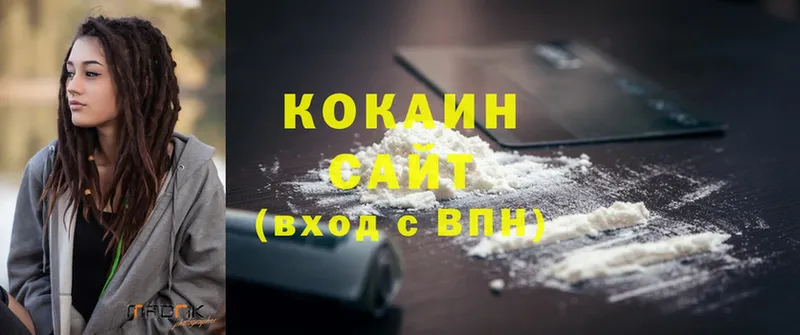 цены наркотик  Новочебоксарск  Cocaine Эквадор 